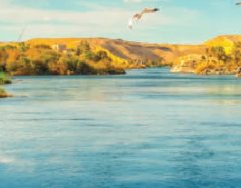 A photo of a wide blue river with sandy hills, green trees and palm trees on its banks, and a bird flying above.